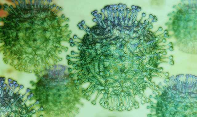 Coronavirus, in Puglia 152 nuovi casi: sale a 1.334 il numero dei contagiati